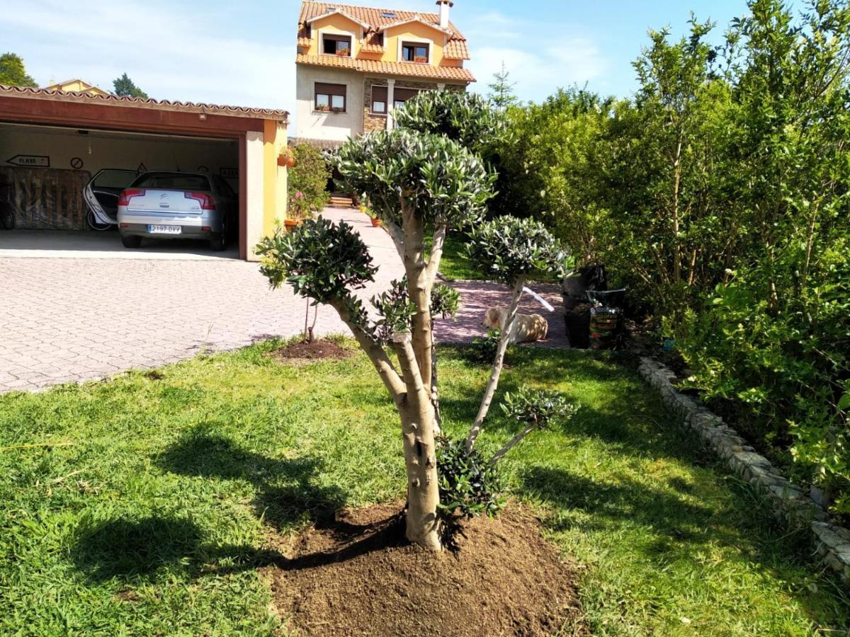 Apartamento Casa A Brana O Grove Ngoại thất bức ảnh